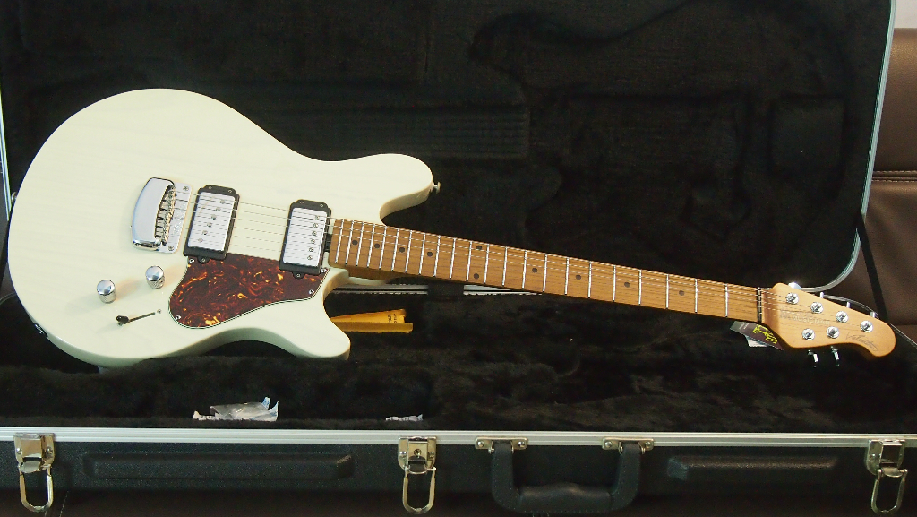 Musicman Guitar James Valentine signature series, .. who? The Guitar